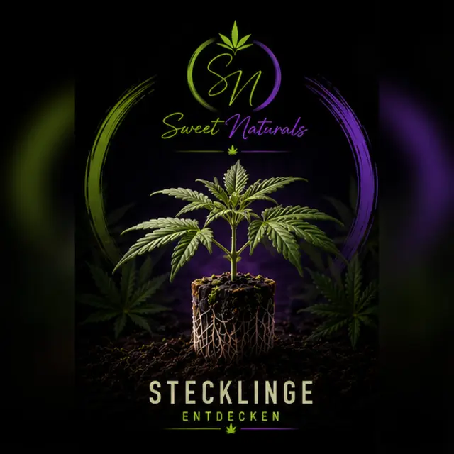 Stecklinge